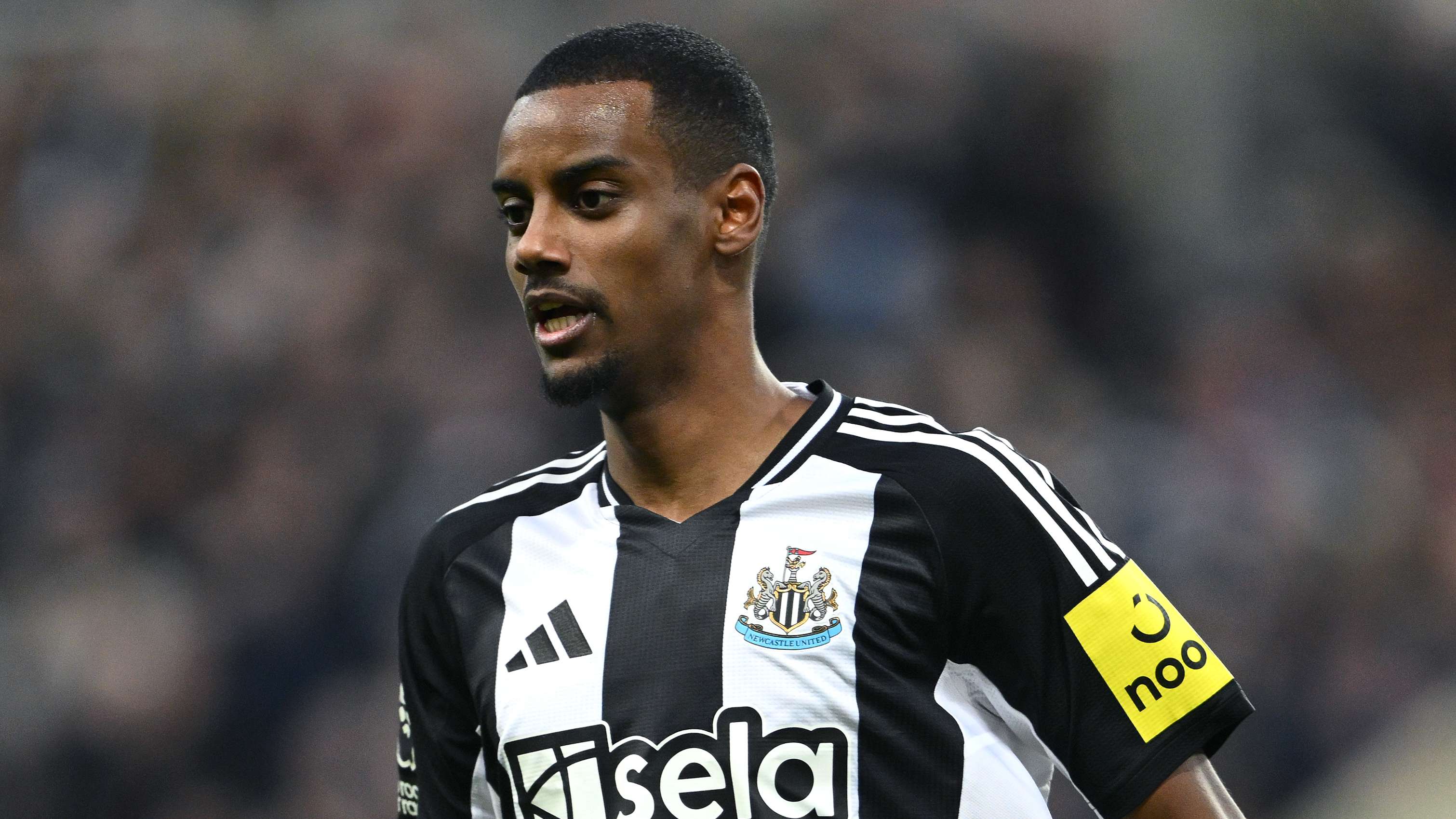 性地采用了 性地采用了